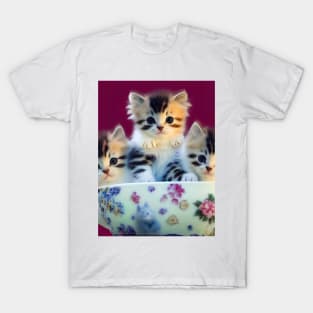 Cats in a cup , Friends forever ,cute three cat in a cup design T-Shirt